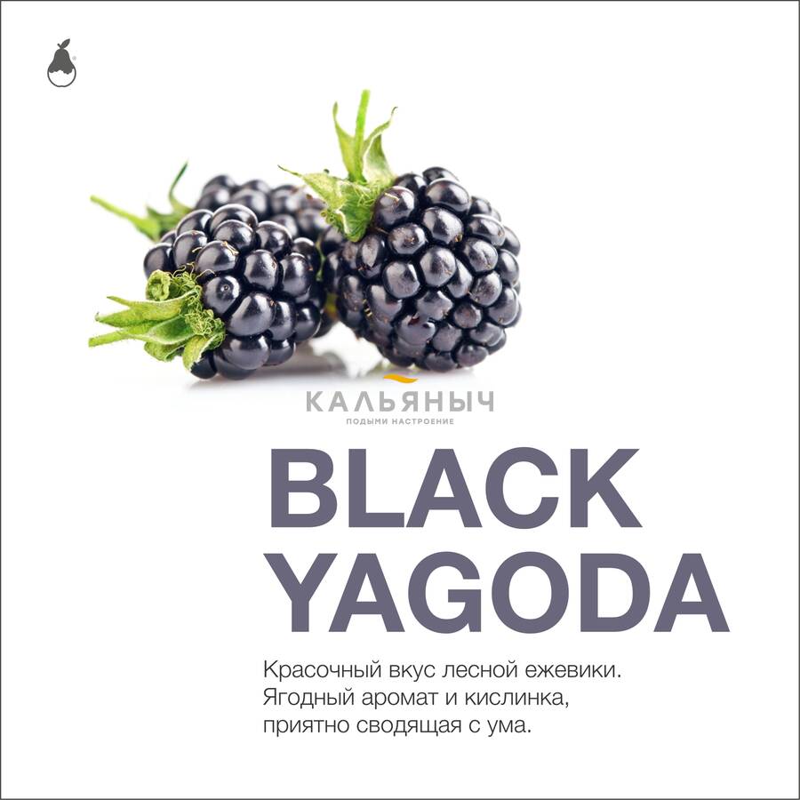 Табак MattPear - Black Yagoda (Ежевика) - Кальяныч.рф Интернет-магазин  электронных сигарет и кальянов